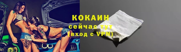 крисы Белая Холуница