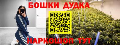 ПСИЛОЦИБИНОВЫЕ ГРИБЫ Кингисепп