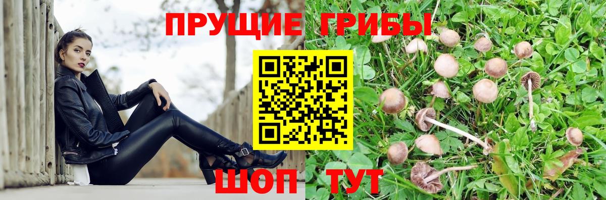Галлюциногенные грибы Cubensis  Вход с VPN  Югорск 