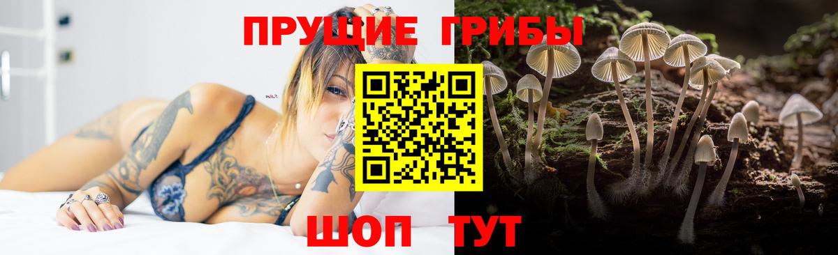 Галлюциногенные грибы мицелий  Югорск 