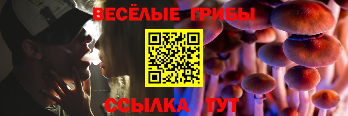 Галлюциногенные грибы Psilocybine cubensis Югорск