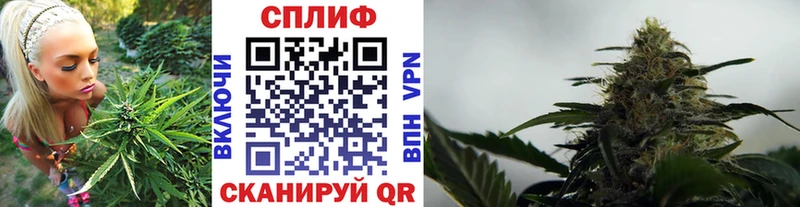 закладки  Югорск  Конопля планчик 